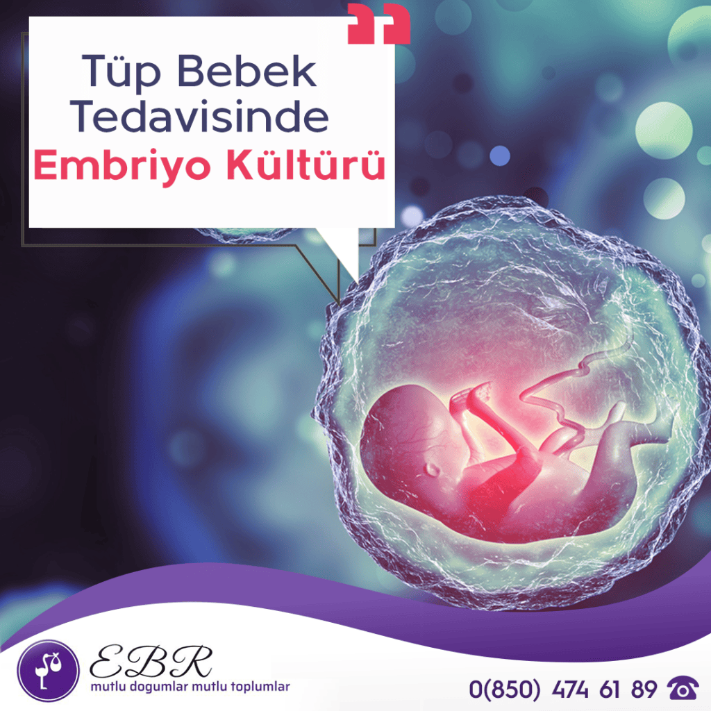 Tüp Bebek Tedavisinde Embriyo Kültürü