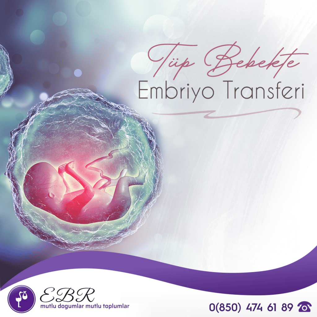 Tüp Bebekte Embriyo Transferi
