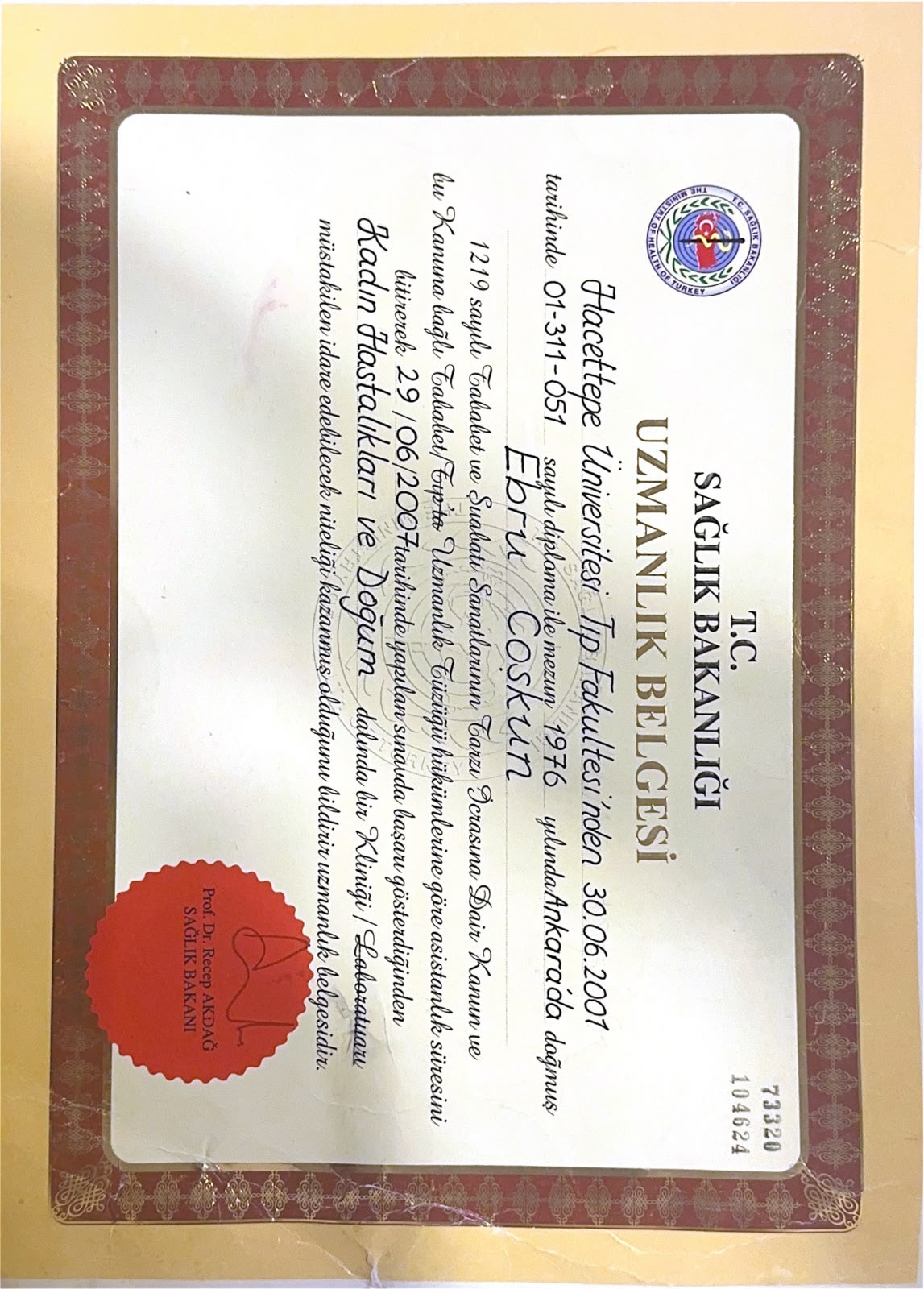 Uzmanlık Belgesi